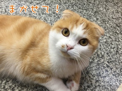 珠90