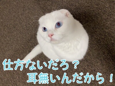 殿573