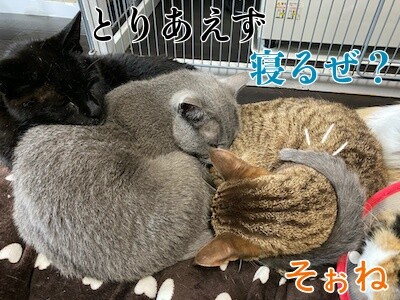 みんな1378