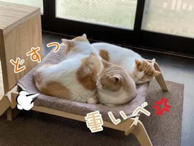 みんな2535