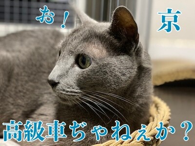 京579