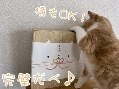 楓675