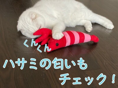 殿118
