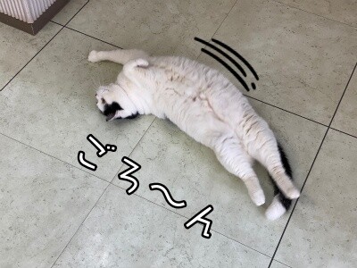 珠若817