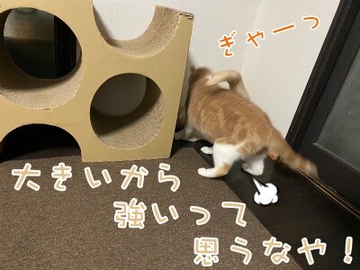 みんな2503