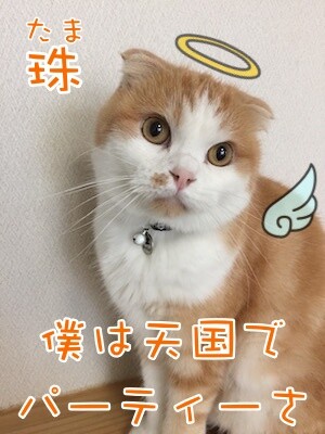 珠若923