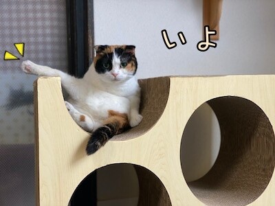 いよ570
