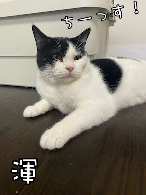 渾62