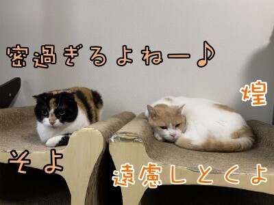 みんな1678