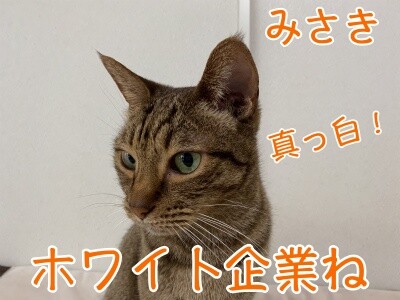 みさき221