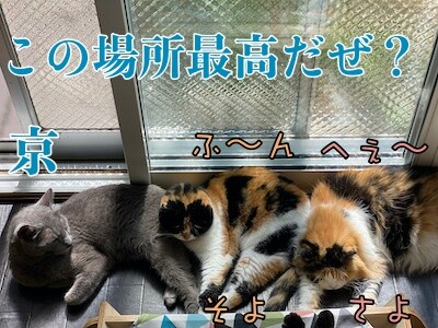 みんな1028