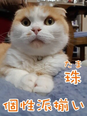 珠若574