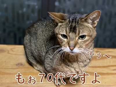 俊508