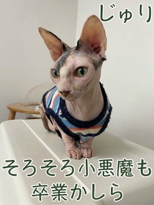 じゅり86