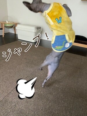 喜92