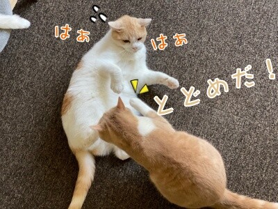 みんな2018