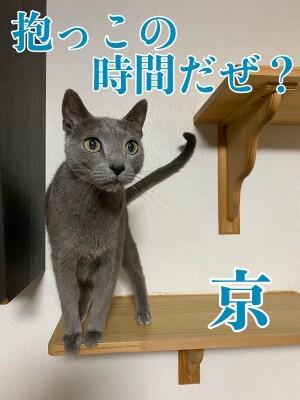 京505