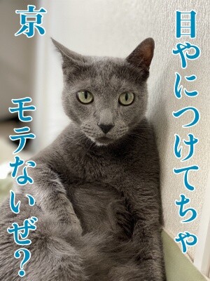 京372