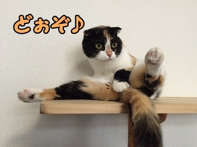 そよ (12)