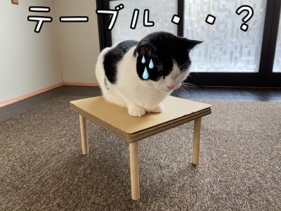 心107
