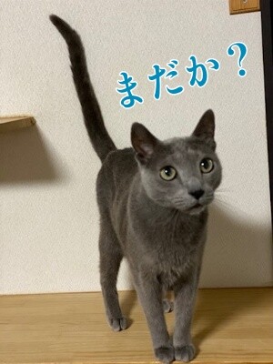 京510