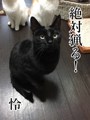 怜14