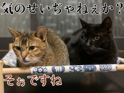 みんな2164