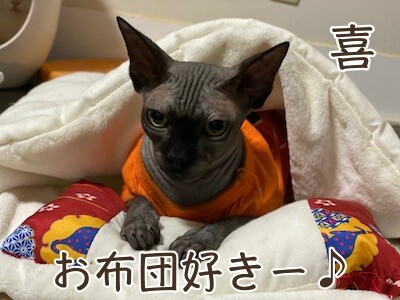喜128