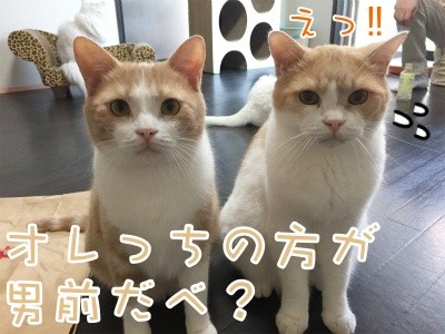 みんな1284