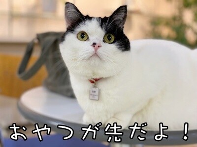 珠若810