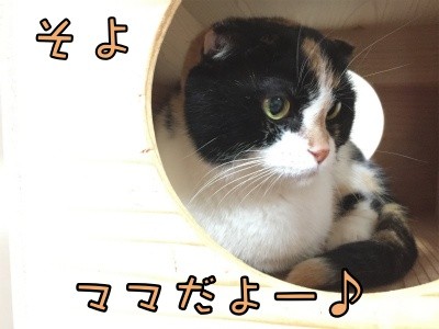 そよ80