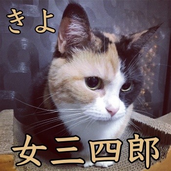 みんな1307