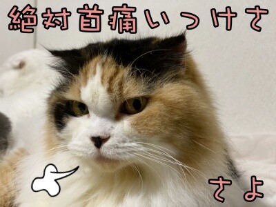 さよ132