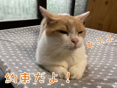 煌240