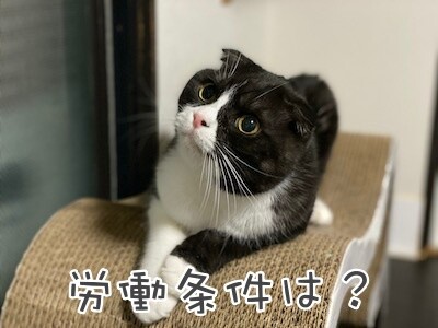 刻15