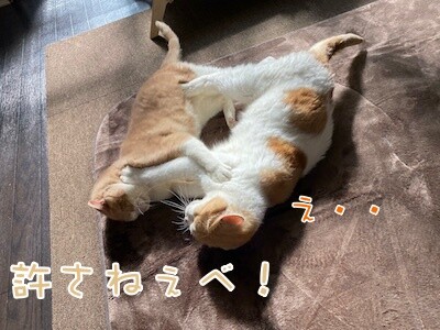 みんな1117