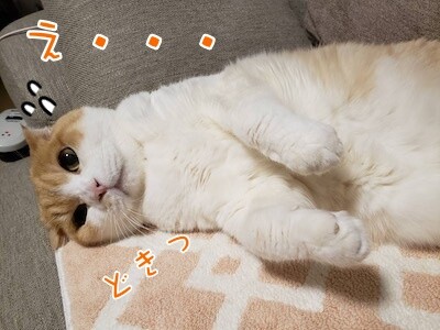 凌58