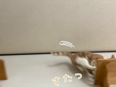 楓71