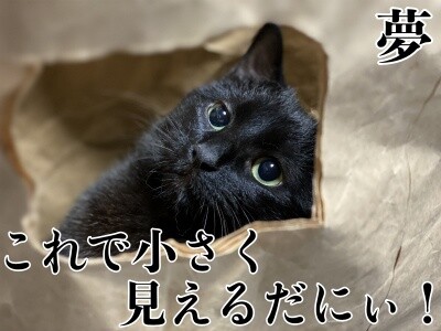 夢58