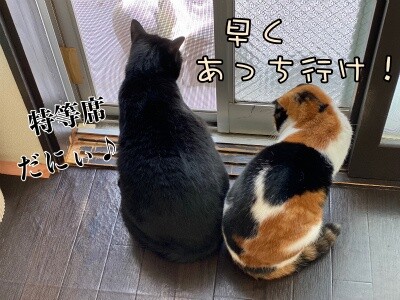 みんな2309