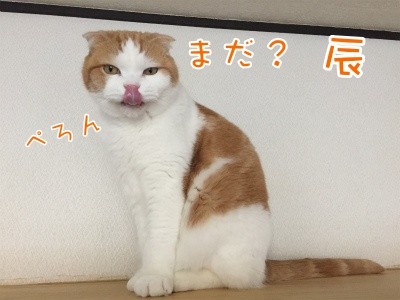 辰132