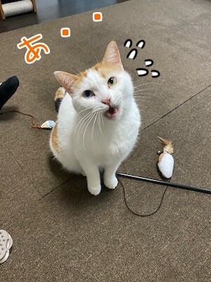 りよ49