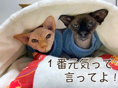 喜214