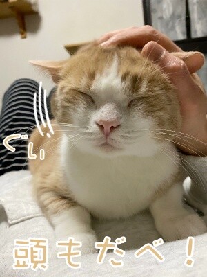 楓837