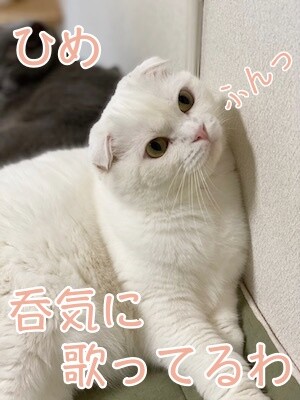 ひめ356