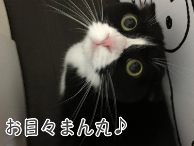 澪74