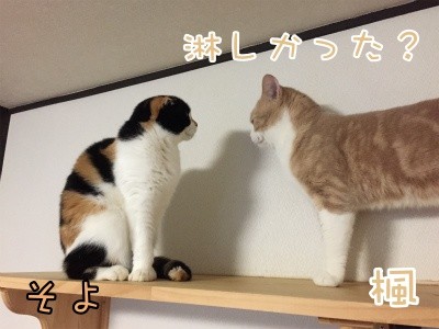 みんな469