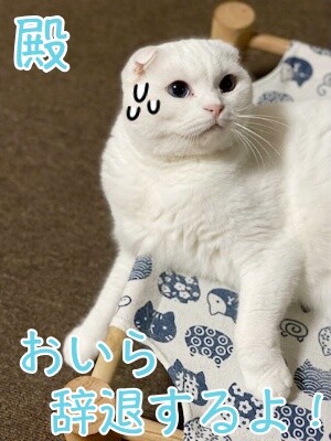 殿925