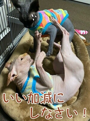 みんな547