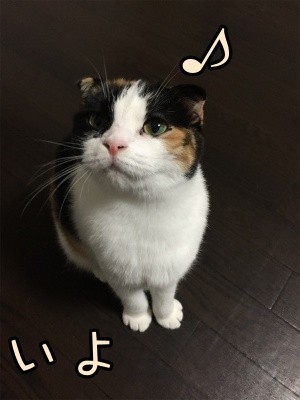 いよ128